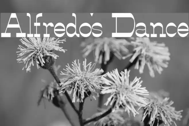 Alfredo's Dance Fonte examples