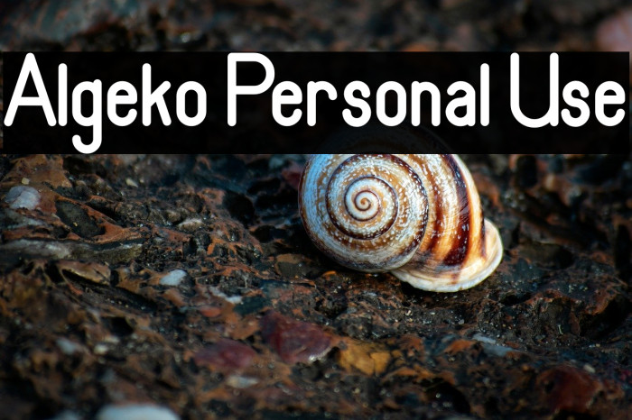 Algeko Personal Use Example 1