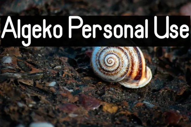 Algeko Personal Use Example 1