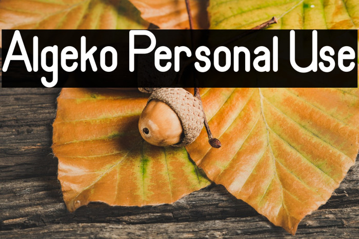 Algeko Personal Use Example 3