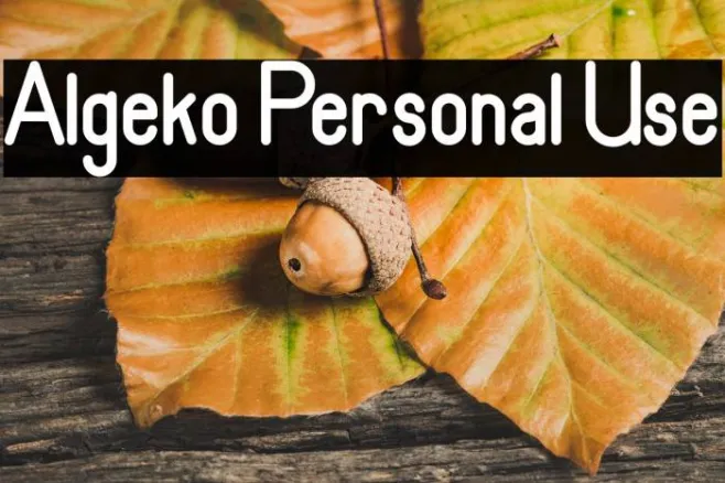 Algeko Personal Use Example 3