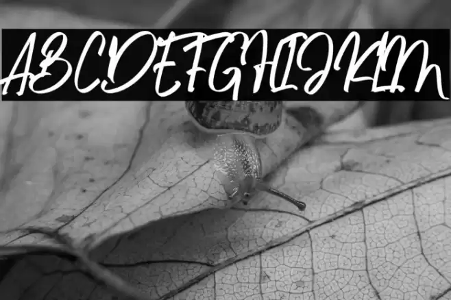 Algenta Font Font examples