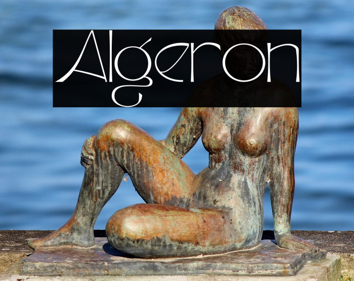 Algeron Example 1