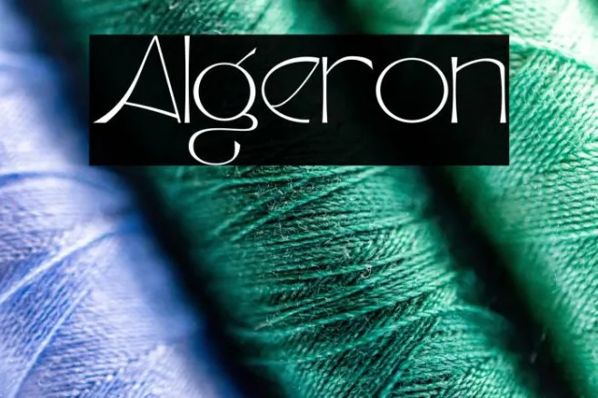 Algeron Example 2
