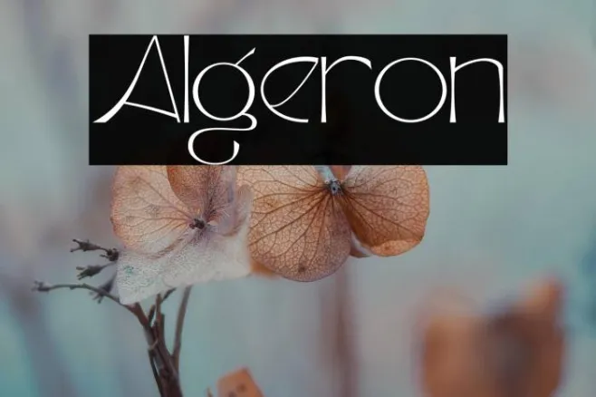 Algeron Example 3