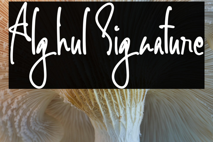 Alghul Signature Example 1