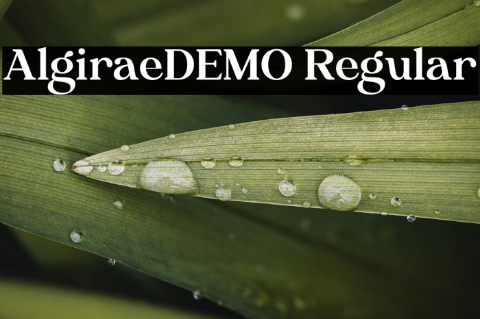 AlgiraeDEMO Regular Example 1