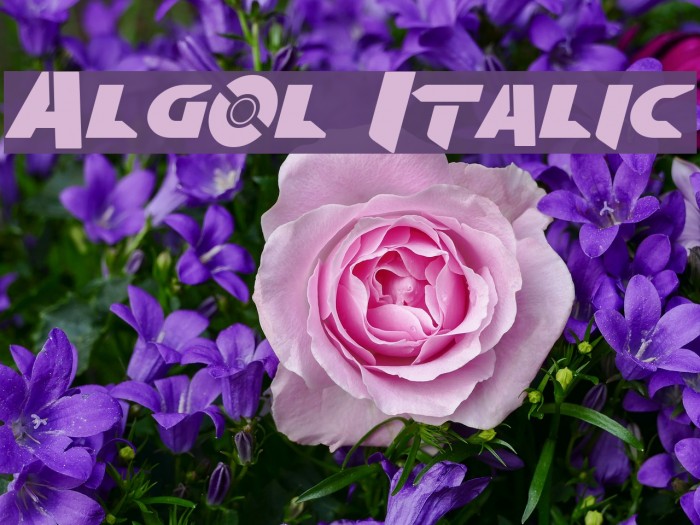 Algol Italic Font examples