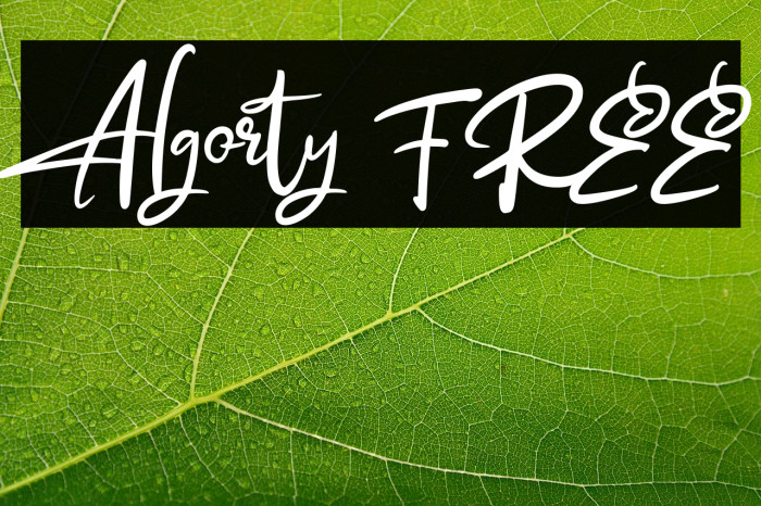 Algorty FREE Example 2