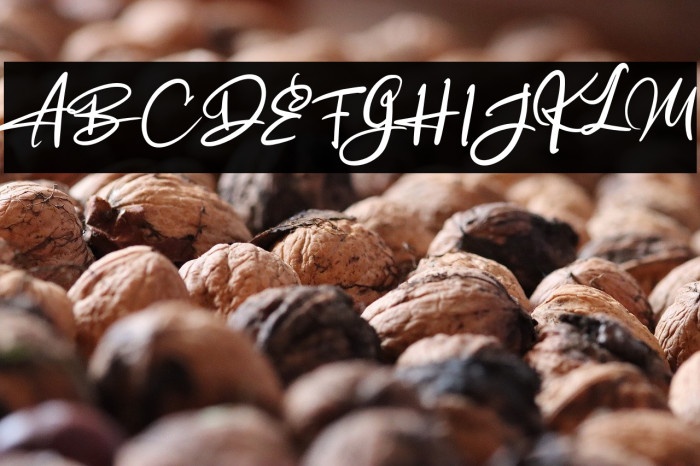 AlgortyFREE Example 2