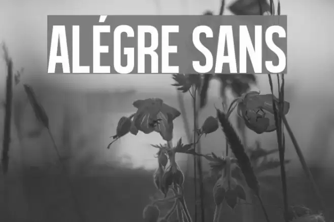 Alégre Sans Font examples