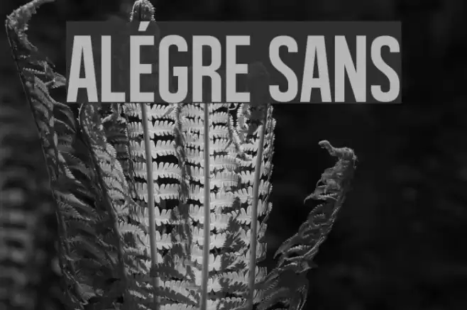 Alégre Sans Font examples