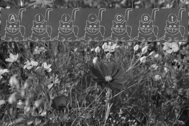 Ali-Cat Font examples