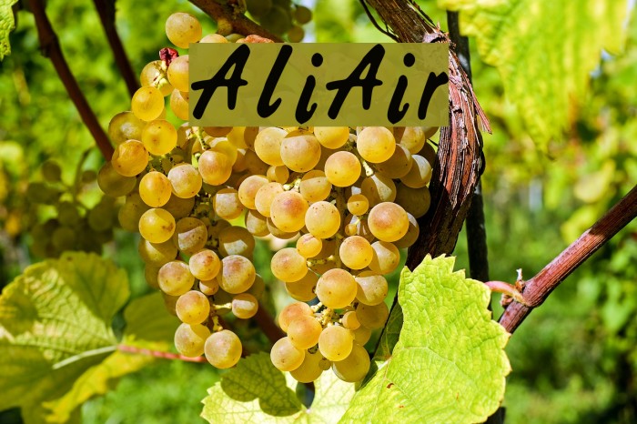 Ali_Air Fonte examples