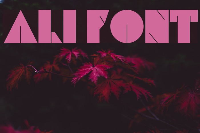 Ali Font examples