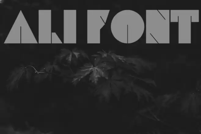 Ali Font examples
