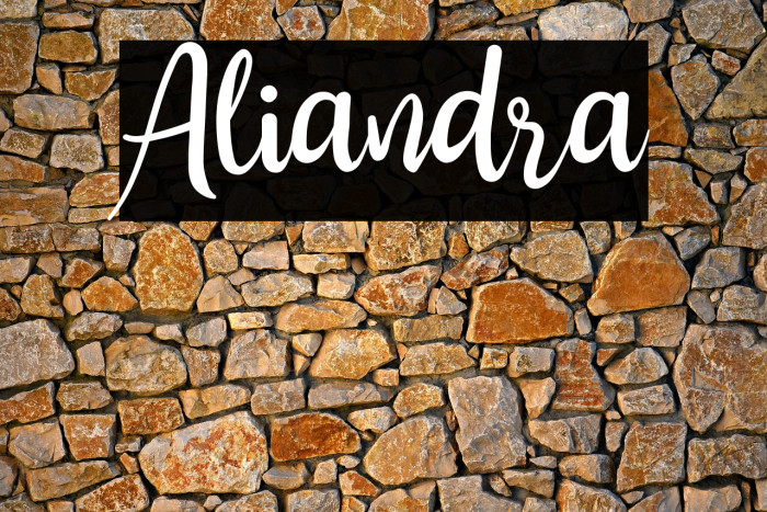 Aliandra Example 3
