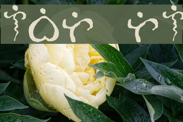 Alibata Italic Font examples