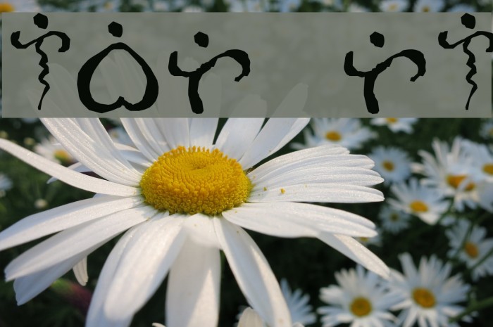 Alibata Italic Font examples