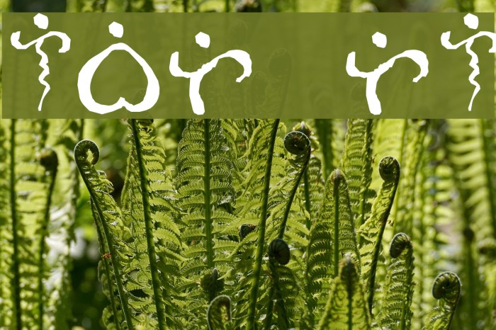 Alibata Italic Font examples