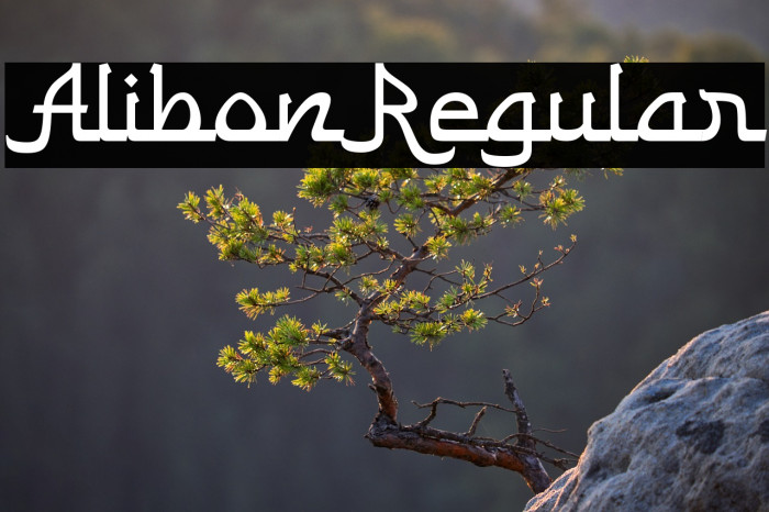 Alibon Regular Example 3