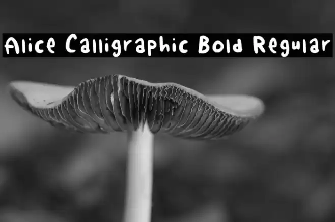Alice Calligraphic Bold Regular Font examples