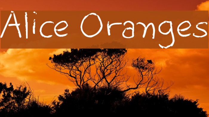 Alice Oranges Font examples