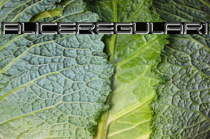 Alice Regular1 Example 2