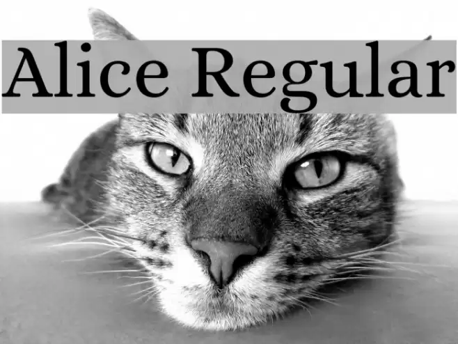 Alice Regular Font examples