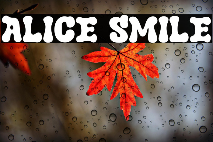 Alice Smile Example 2