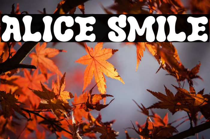 Alice Smile Example 3