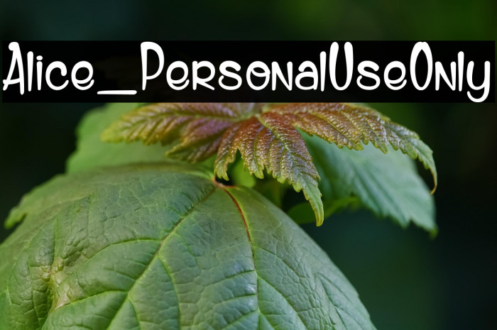 Alice_PersonalUseOnly Example 1