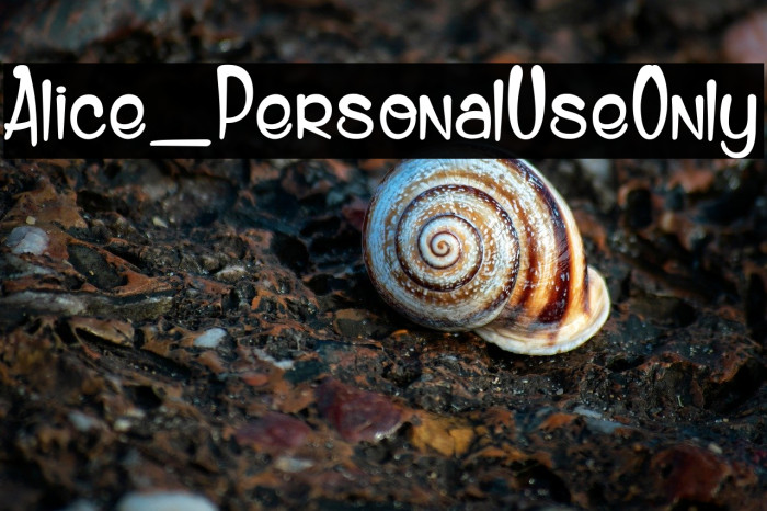 Alice_PersonalUseOnly Example 2