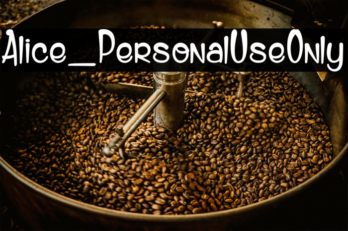 Alice_PersonalUseOnly Example 3