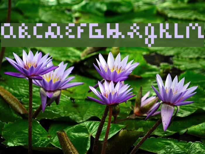 Alicia Marie Regular Font examples