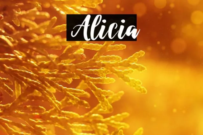 Alicia Example 1