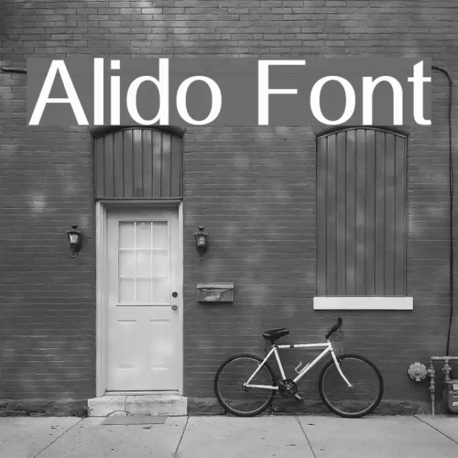 Alido Font examples
