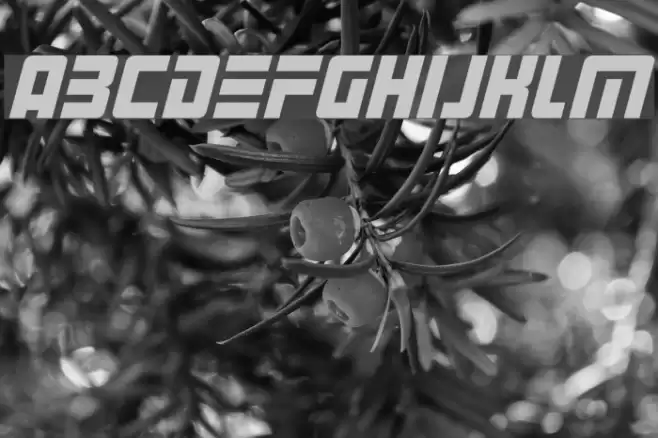 Alien Android Italic Font examples