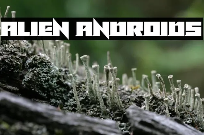 Alien Androids Example 3