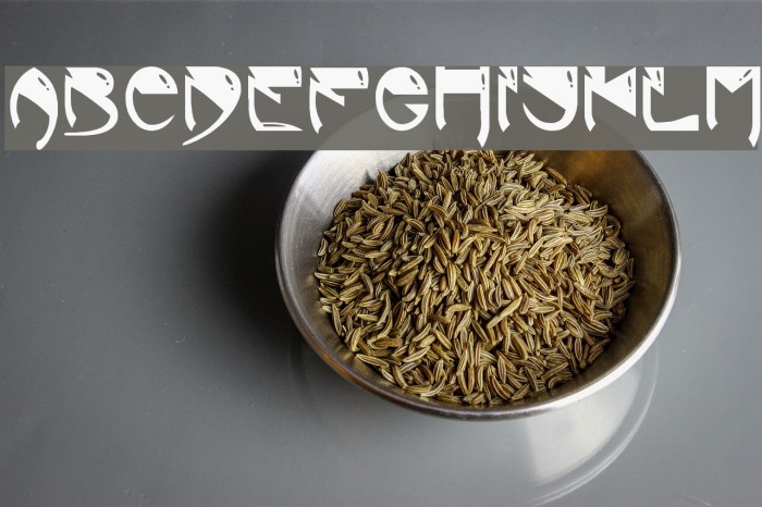 Alien Bold Font examples