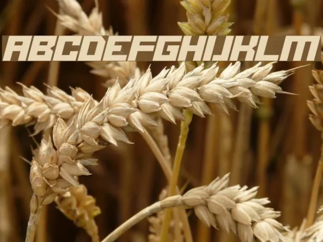 Alien Cyborg Italic Example 2