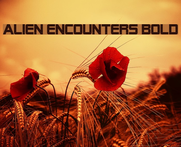 Alien Encounters Bold Font examples