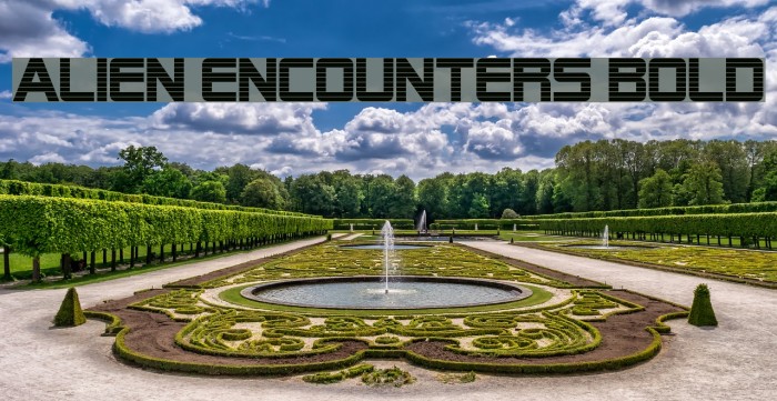 Alien Encounters Bold Font examples