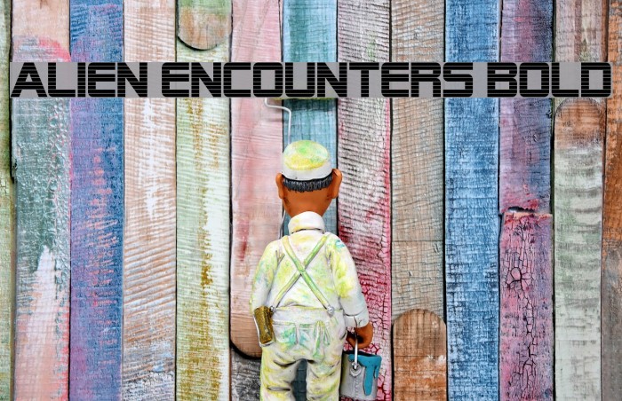 Alien Encounters Bold Font examples