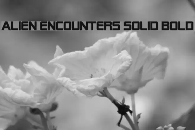 Alien Encounters Solid Bold フォント examples