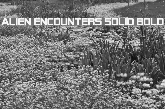 Alien Encounters Solid Bold フォント examples