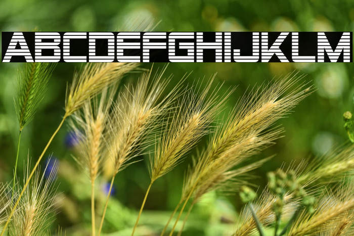 Alien Encounters(RUS BY LYAJKA) Example 1