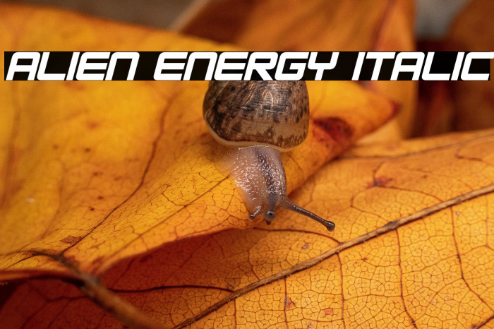 Alien Energy Italic Example 2