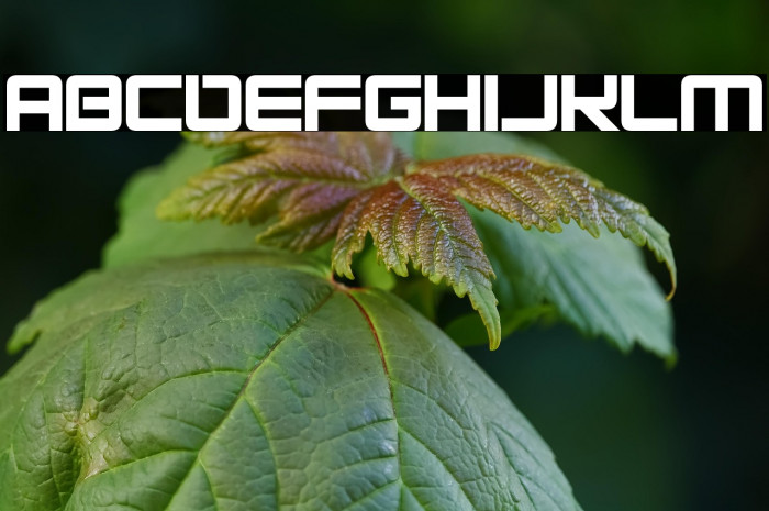 Alien Energy Example 3