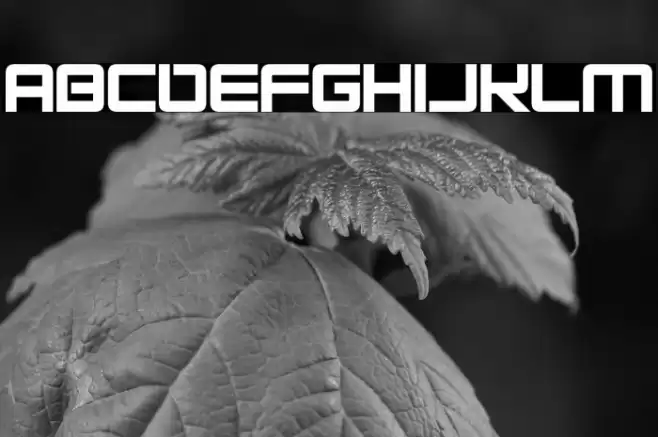 Alien Energy Fonte examples